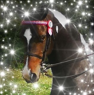 Teresa Kingsley's avatar