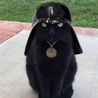 Jeanne Bennett's avatar