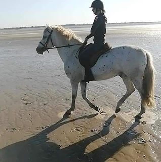 Ginny Munday's avatar