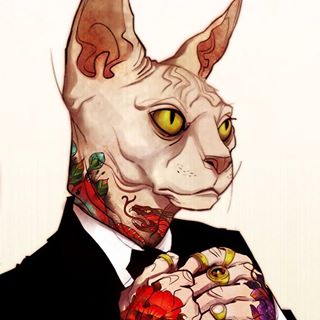 Vladimir Stalp's avatar