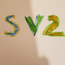 Real SV2's avatar
