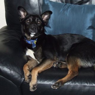 Bud Bud's avatar
