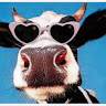R Hastie's avatar