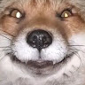 rory xxx's avatar