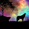 Bobbie Searle's avatar