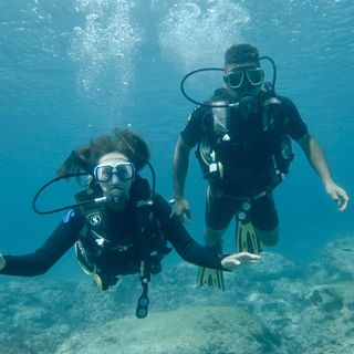 Daniela Roque's avatar