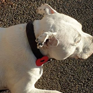 Christine Dee's avatar