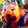 Neon Wombat's avatar