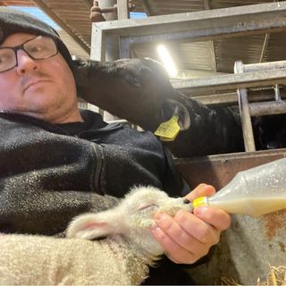 Robert Dalgleish's avatar