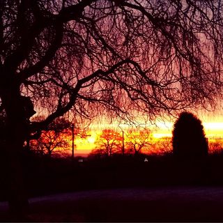 Robert Mills's avatar