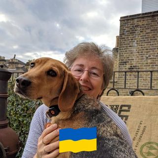 Carolyn Asher's avatar