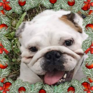 Susan Overy's avatar