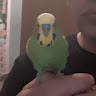 Kevin RKR's avatar