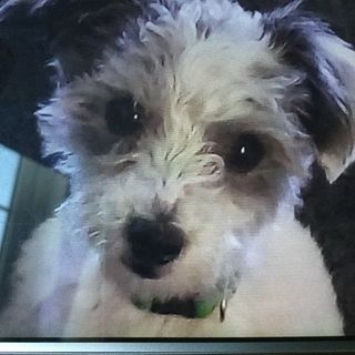 Dorrie Kiy's avatar