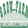 Brow Farm's avatar