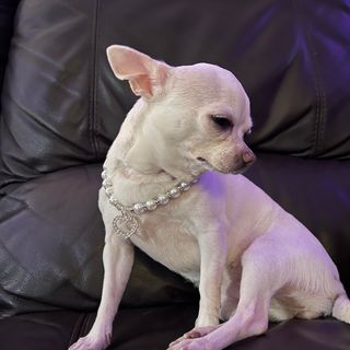 Teresa White's avatar