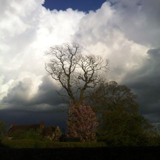 Carl Morrey's avatar