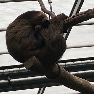 Michelle Louise Clements's avatar