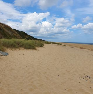 Jeanette Smith's avatar