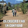 Jose Sanchez's avatar