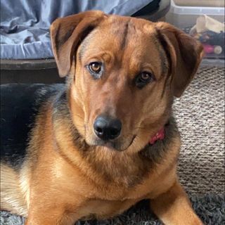 Emma Nesling's avatar