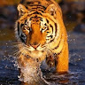 Terry Clayden's avatar