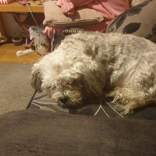 Paul Buswell's avatar