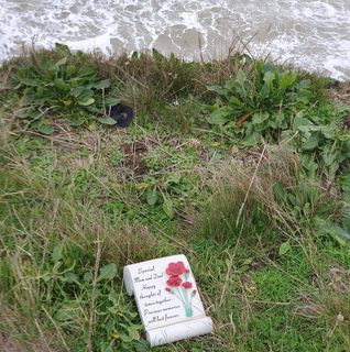 Dawn Drabwell's avatar