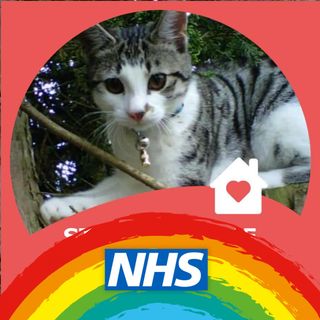 Leon Beaudoin's avatar