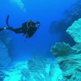 Sarah Turnbull's avatar