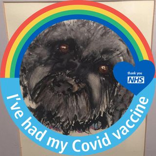 Jenni McGhie's avatar