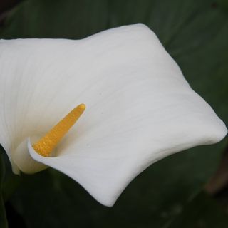 Ilona Matiej's avatar