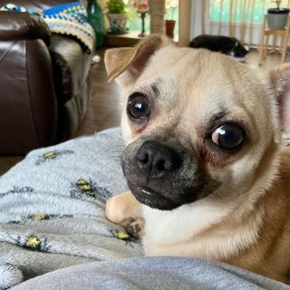 Lorraine Farrington-Bone's avatar