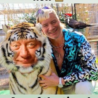 Mark Dawkins's avatar