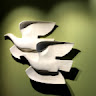 Claudia S's avatar