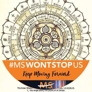 Willow Martin's avatar