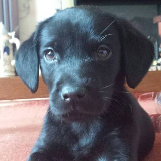 Phyllis Amazin's avatar