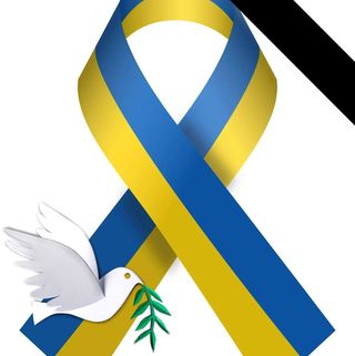 Roddy Day's avatar