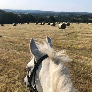 Miranda Kavanagh's avatar