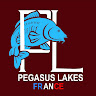 Pegasus Lakes's avatar