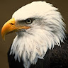 Gary Seaman's avatar