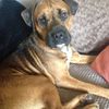 Kath Smith's avatar