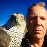 ian hague's avatar