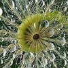 Gina Richards's avatar