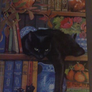 Tina Brammall's avatar