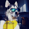 Ares The Husky Boy's avatar