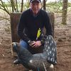 Bob MacDonald's avatar