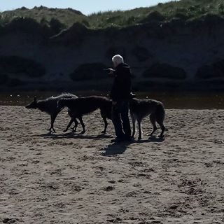 Hilary J Carter's avatar