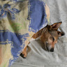 antony leonard's avatar