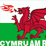 Welsh Random's avatar